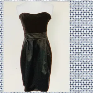 Banana Republic Strapless Dress 👗