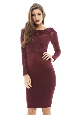 Crochet Mesh   Top Bodycon   Dress