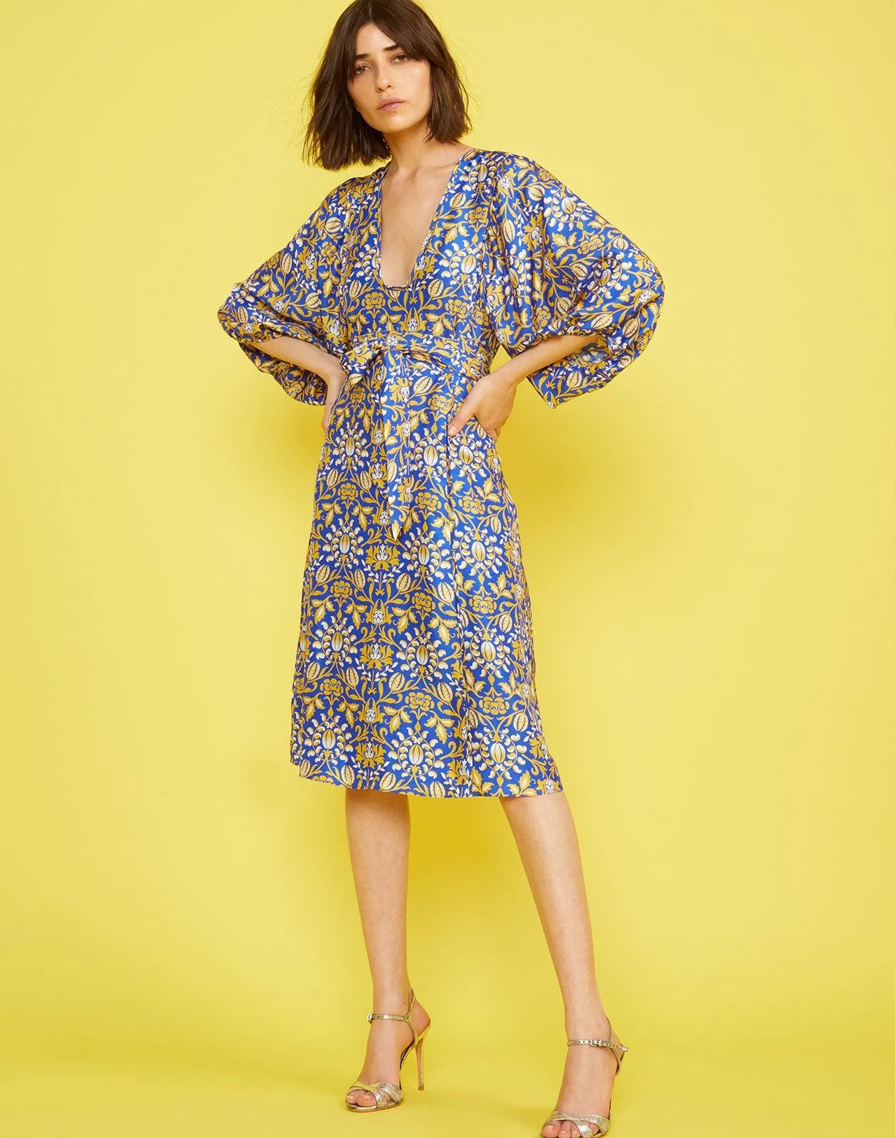 Daley Waist Tie Dress