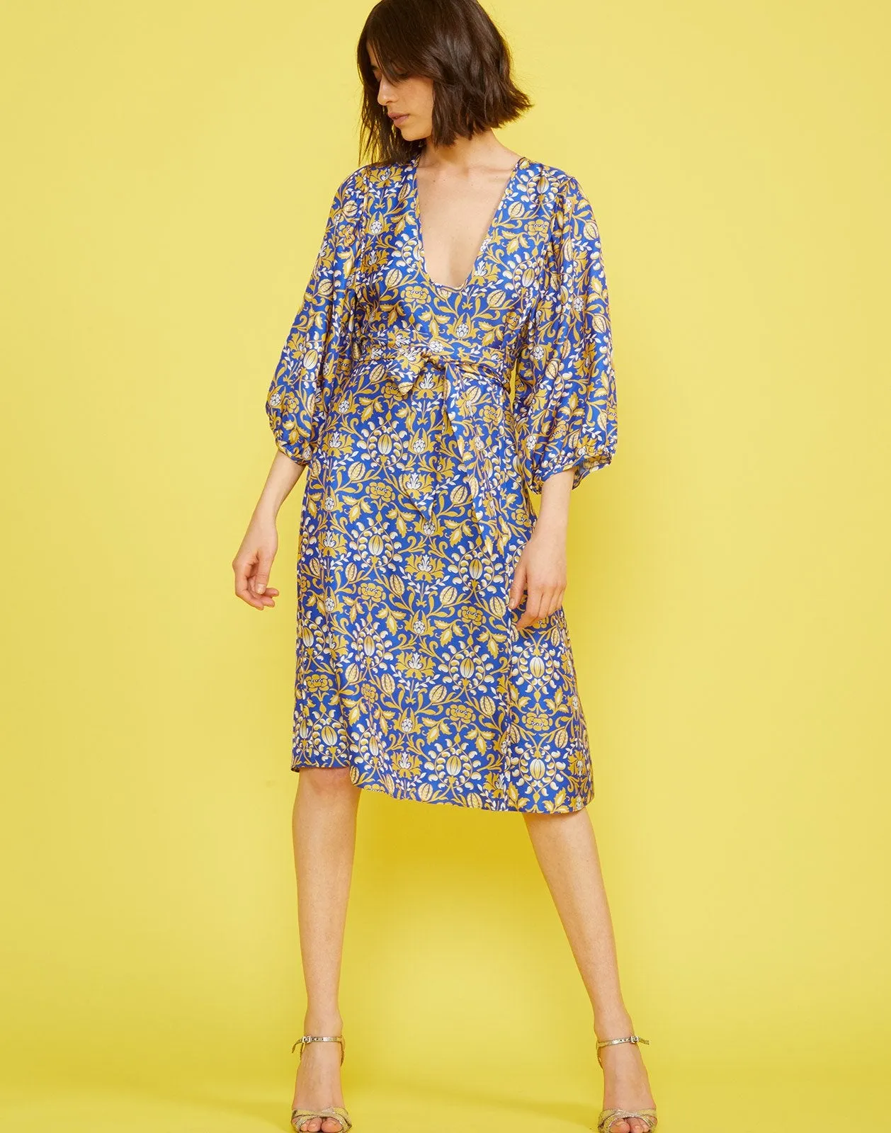 Daley Waist Tie Dress