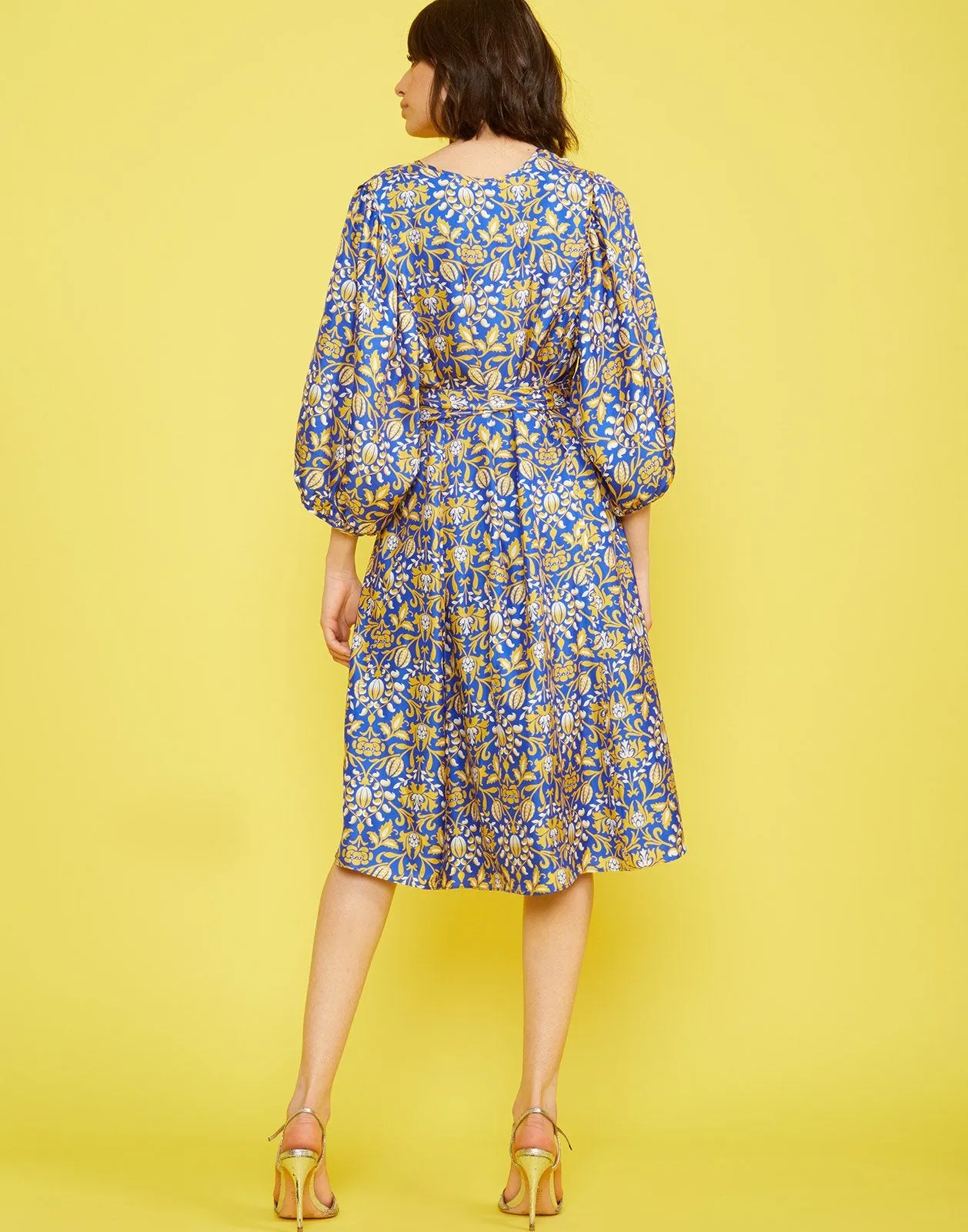 Daley Waist Tie Dress