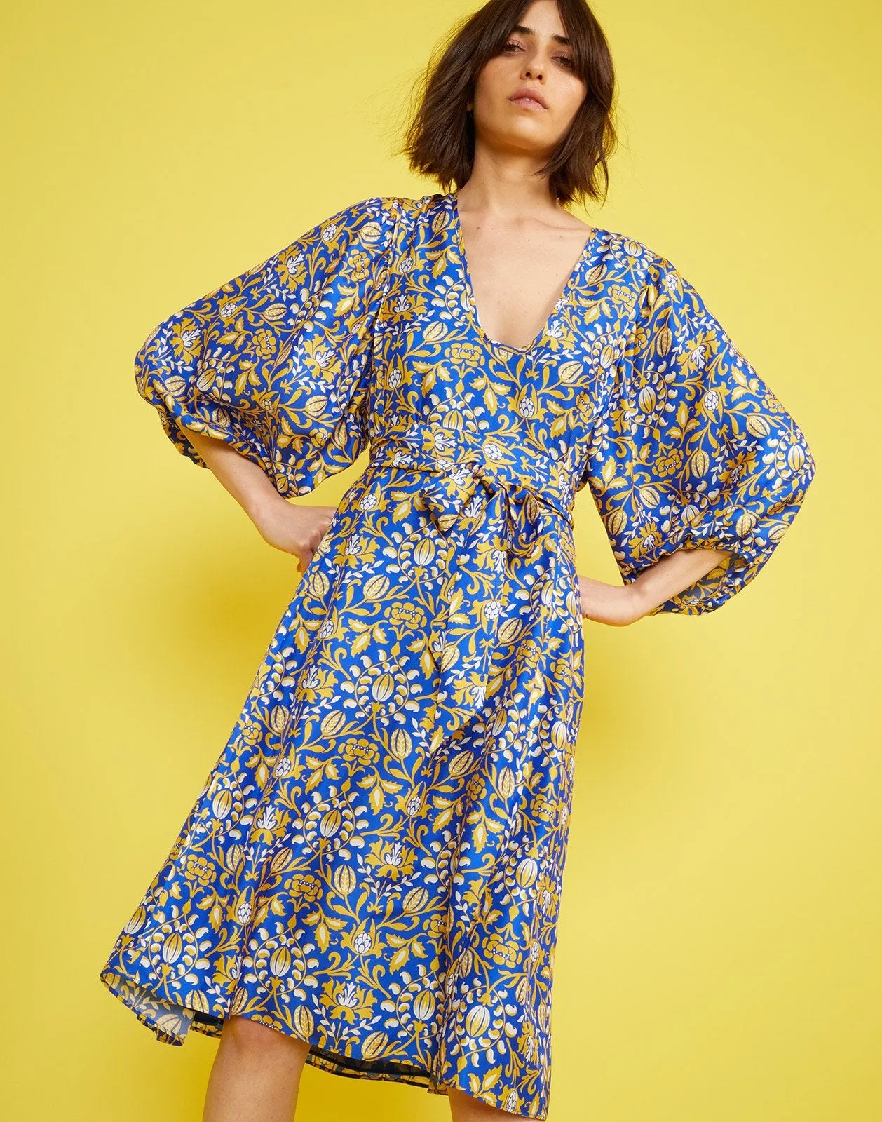 Daley Waist Tie Dress