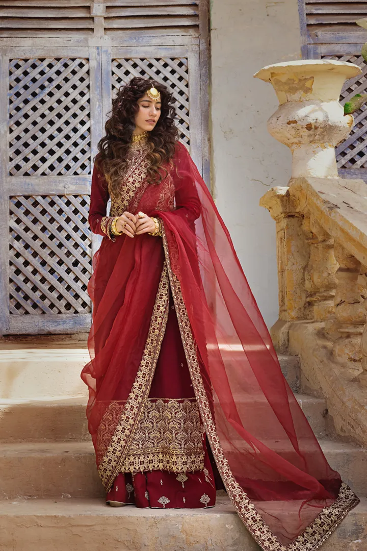 Maroon Raw Silk Salwar Kameez Pakistani Party Dresses