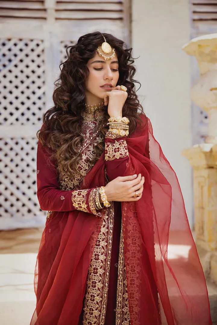 Maroon Raw Silk Salwar Kameez Pakistani Party Dresses