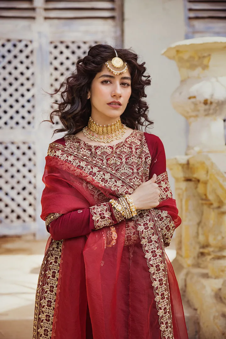 Maroon Raw Silk Salwar Kameez Pakistani Party Dresses