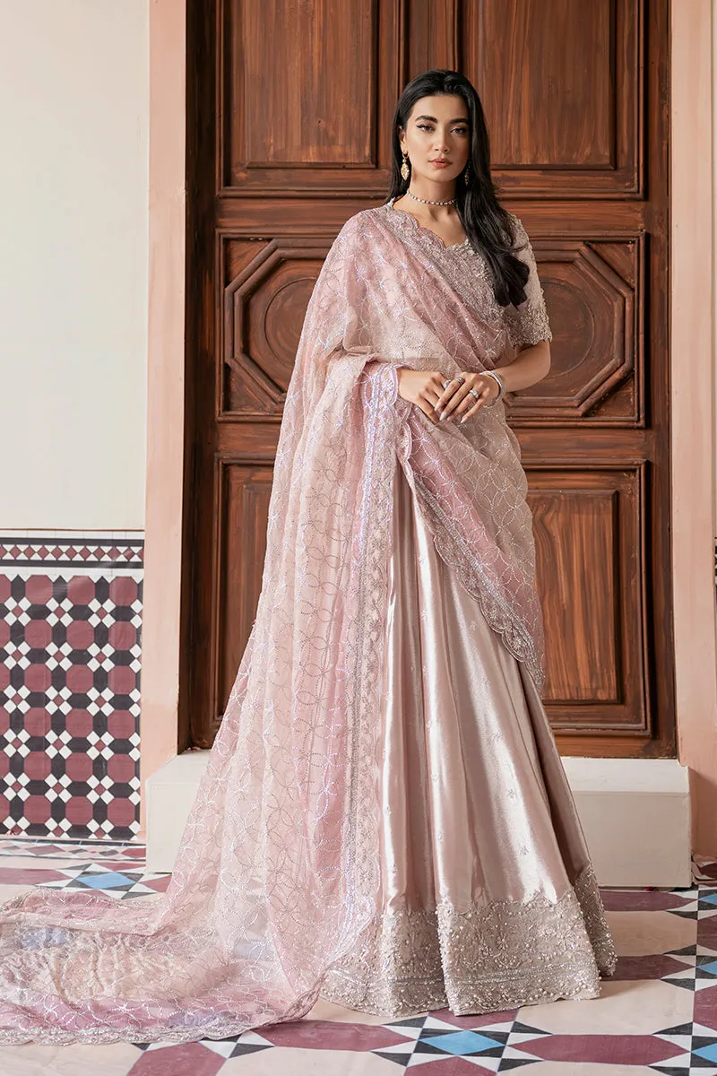 MUSHQ | LUXURY PRET PRINTED ORGANZA'23 | ZOHREH