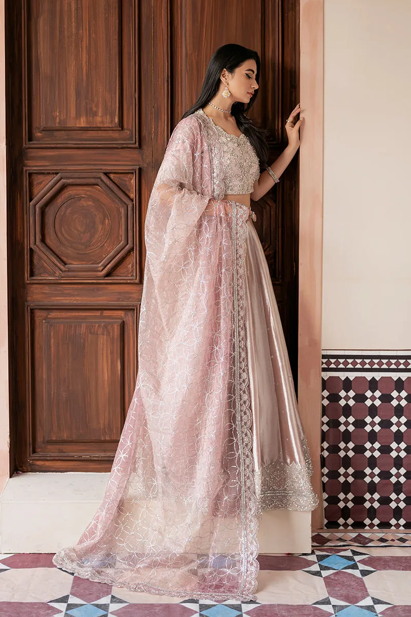 MUSHQ | LUXURY PRET PRINTED ORGANZA'23 | ZOHREH