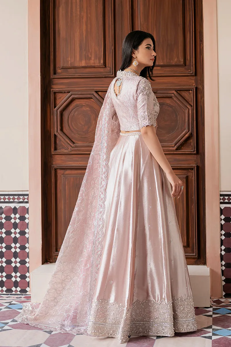MUSHQ | LUXURY PRET PRINTED ORGANZA'23 | ZOHREH
