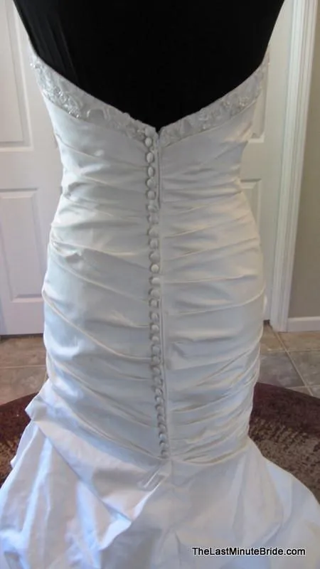 Paloma Blanca 4306