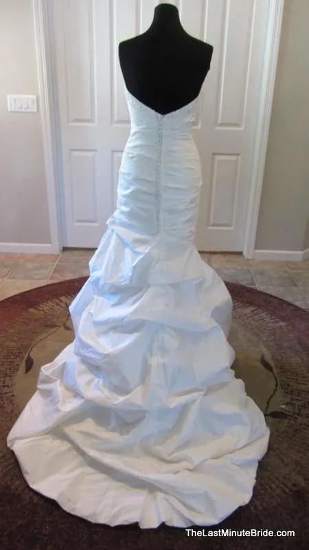 Paloma Blanca 4306