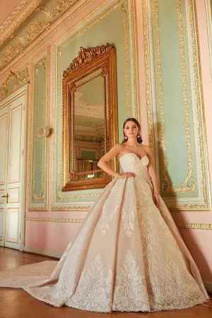 Premium Long Tail Blush Princess Wedding Gown for Bride