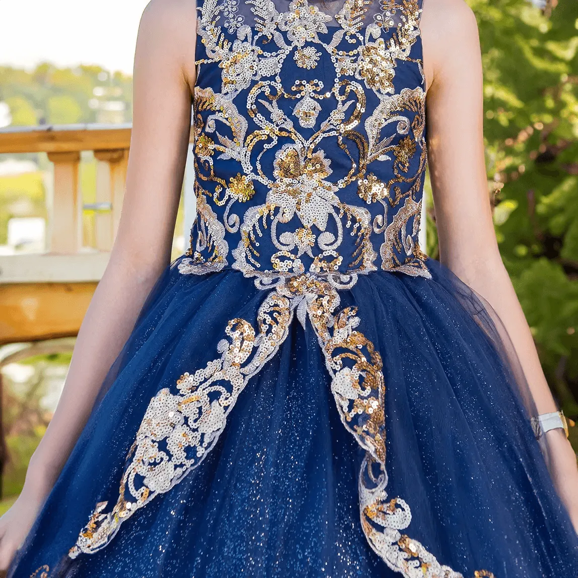 Princess Phoenix Gown
