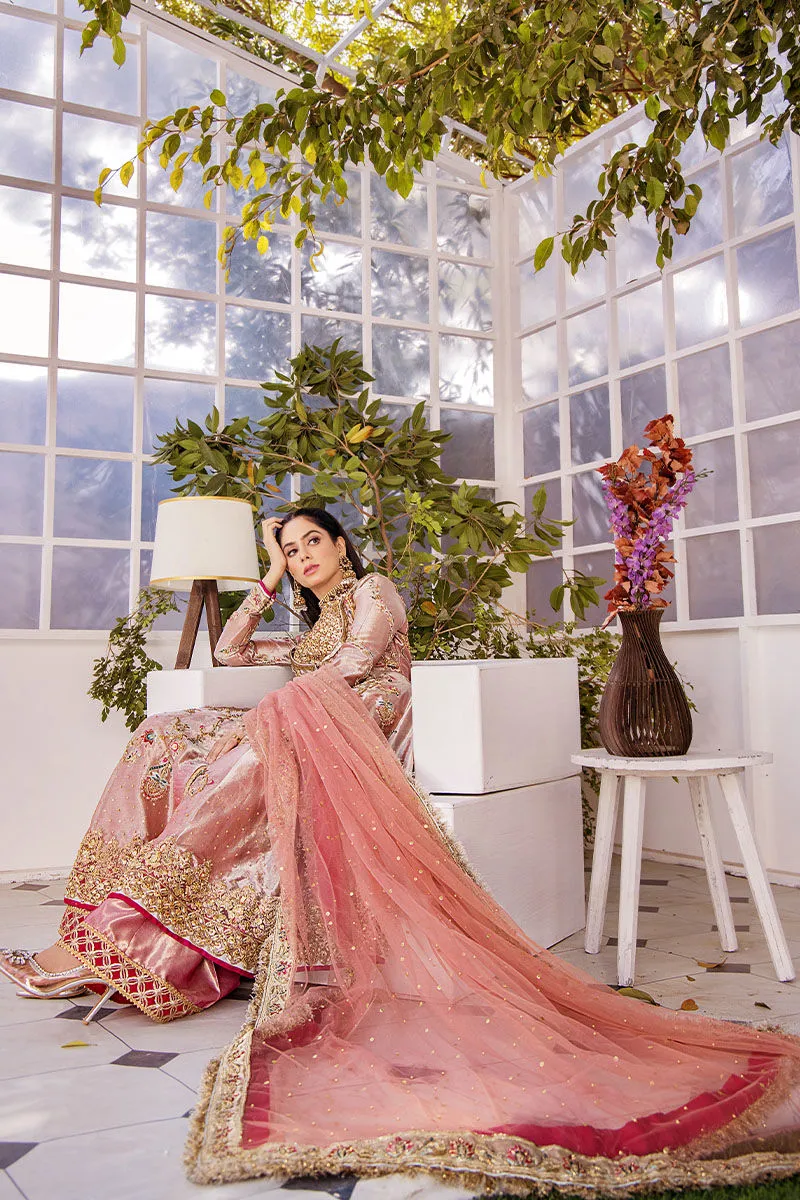 Traditional Peach Embroidered Dress in Gown Style Wedding Dress