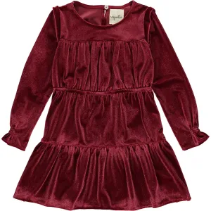 Vignette Burgundy Velvet Bennet Dress