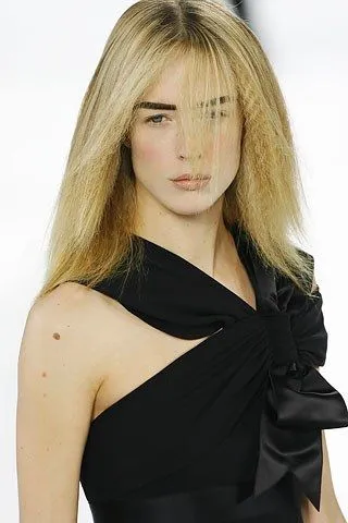 Well Documented Fall 2007 Chanel by Karl Lagerfeld Look 63 Runway & Ad Campaign Dress w Bows